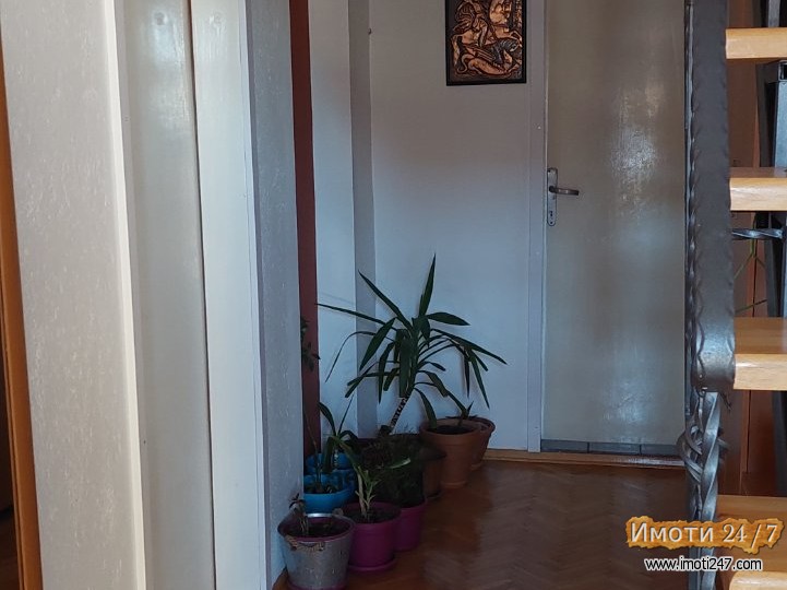 Семејна Куќа