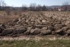 Се продава градежно неизградено земјиште 1172м2