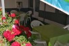 Apartmani