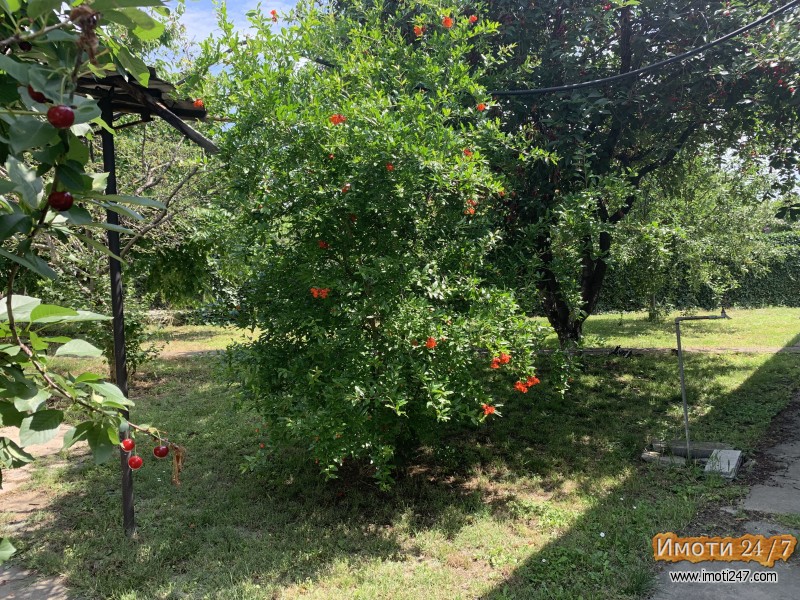 Se prodava kuka vo Gjorce Petrov