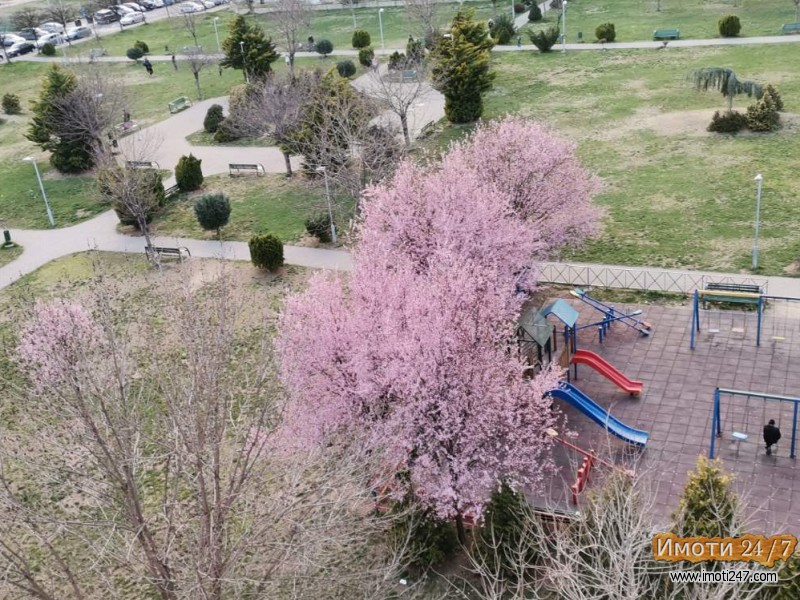 Se izdava garsonjera Nlisice