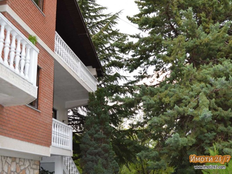  Сопиште на најубавата локација
