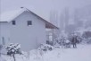 VIKENDICA