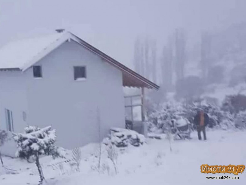 VIKENDICA