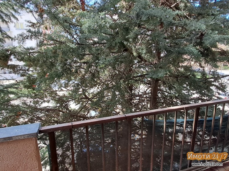 ДВОСОБЕН СТАН ВО ОХРИД - РАСАДНИК