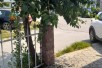 Нов стан со двор и два влеза 1100 ев за м2