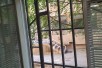Се продава стан од 56м2 во строг центар на градот Скопје