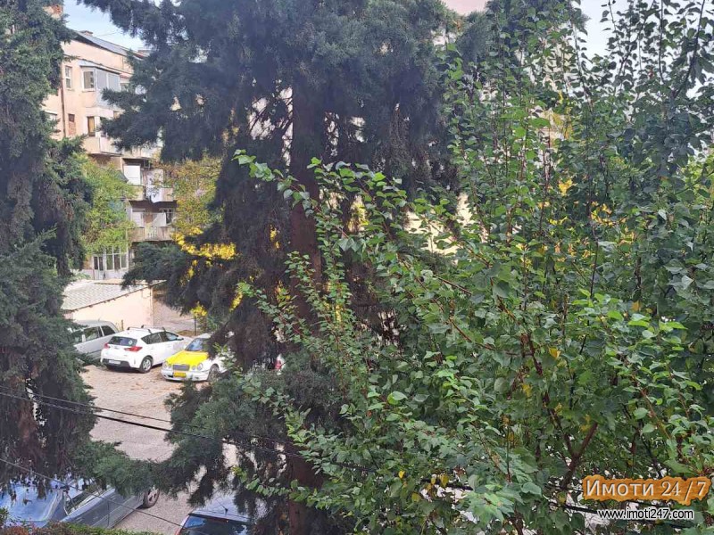 DVCOSOBEN STAN VO BLIZINA NA SVPETKASHAMPIONCE