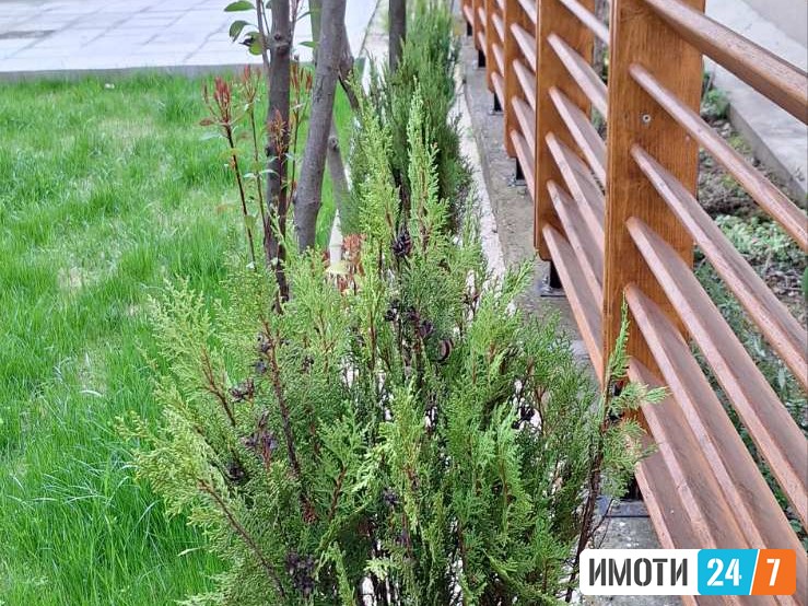 Се продава куќа 93м2 со двор Драчево