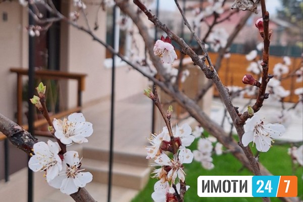 Се продава куќа 93м2 со двор Драчево