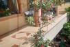 КАТ ОД КУЌА НА АТРАКТИВНА ЛОКАЦИЈА- БАРДОВЦИ