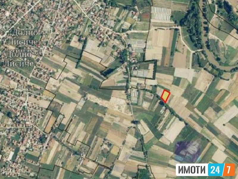 Plac vo dolno lisice