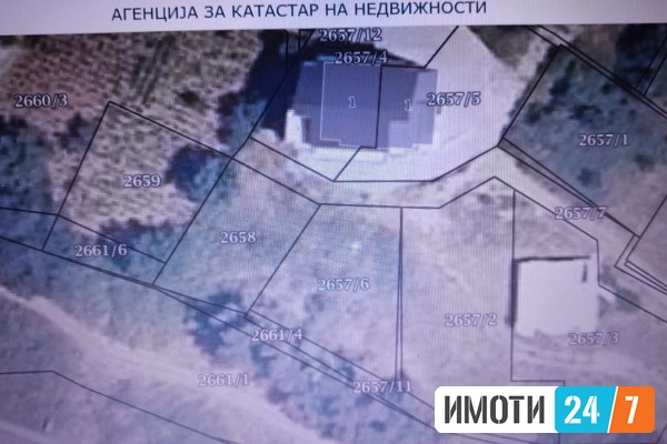 Plac