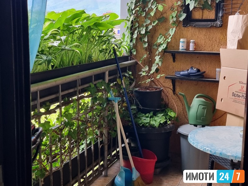 СЕ ПРОДАВА СТАН ВО ОСТРОВО