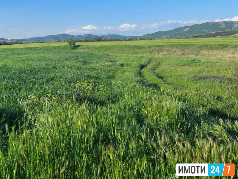 ПРОДАВАМ НИВА