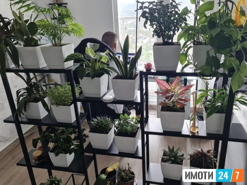 Урбан Лајф продава стан во Џевахир