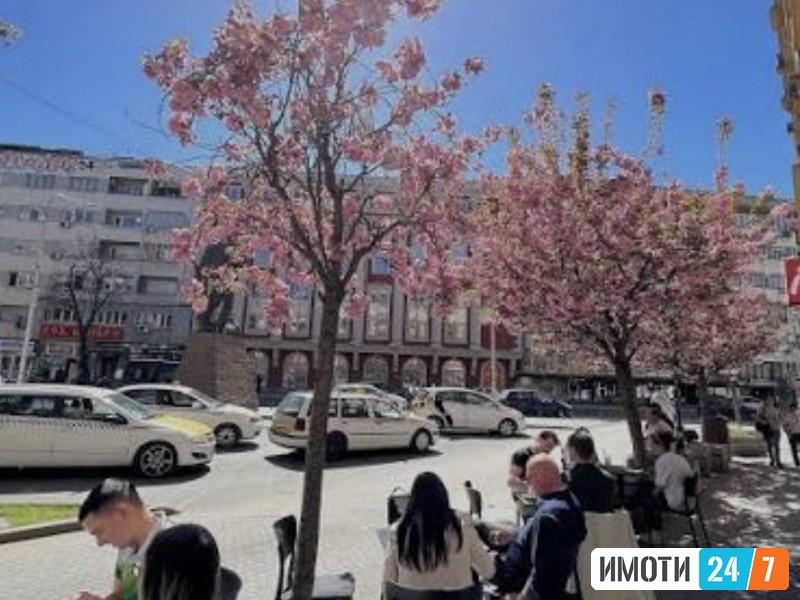 Се отстапува разработен бизнис