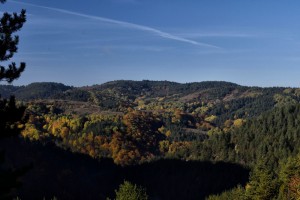Ексклузивна можност – Градежна парцела со поглед кон Малешевијата Берово