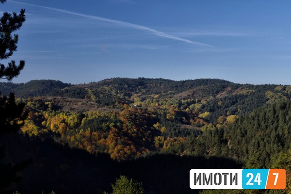 Ексклузивна можност – Градежна парцела со поглед кон Малешевијата Берово