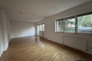 PRAZEN DELOVEN PROSTOR SO DVOR VO CENTAR