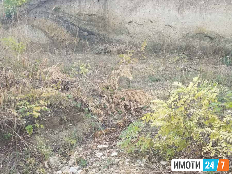 Plac na Dolno Vodno