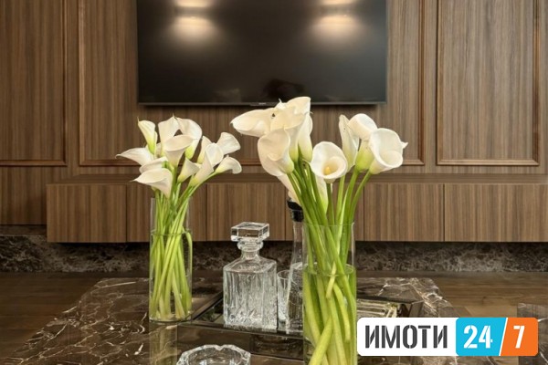 Rent Apartments in   Vodno