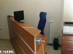 DOMIK IZDAVA NAMESTEN DELOVEN KAJ MLECEN