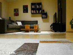 DOMIK IZDAVA LUX 3 SOBEN STAN VO CRNICE