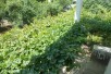 Се продава Куќа во  нас Волково