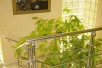 Се продава Куќа во  нас Нерези