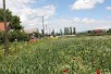 Се продава Плац во  нас Драчево