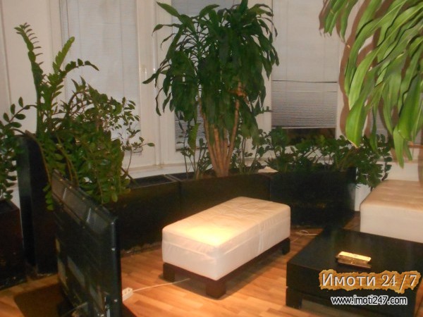 Rent Office space in   Centar