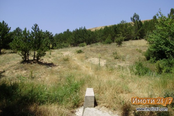 Sell Plot in   Volkovo