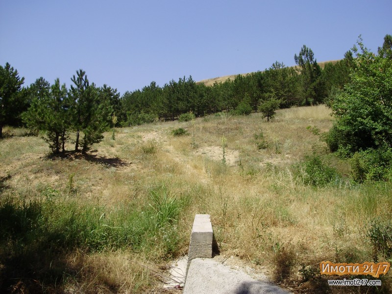 Sell Plot in   Volkovo