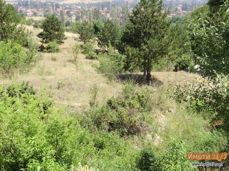 Sell Plot in   Volkovo