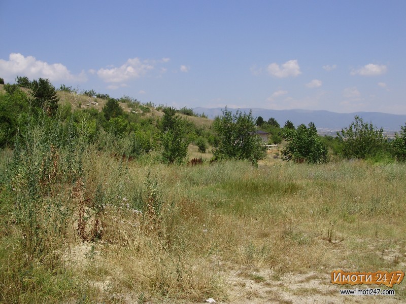 Sell Plot in   Volkovo