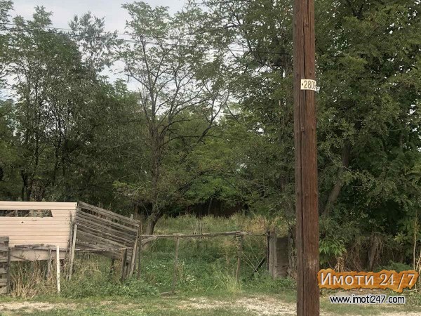 Sell Plot in   Madzari