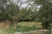 Sell Plot in   Madzari