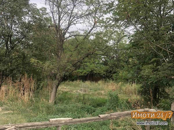 Sell Plot in   Madzari