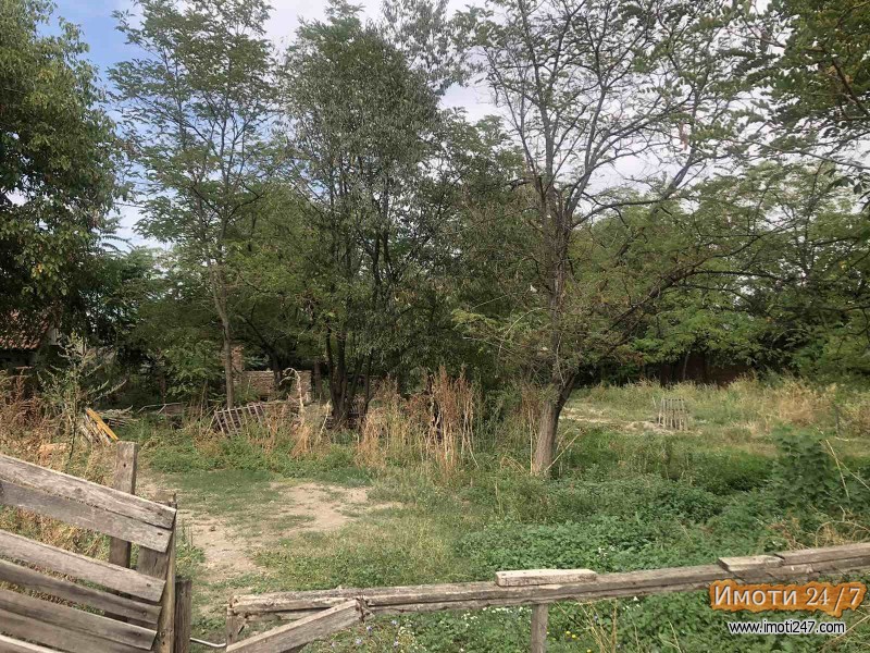Sell Plot in   Madzari