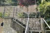 Rent Apartment in   Kozle