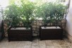 Rent Apartment in   Kozle