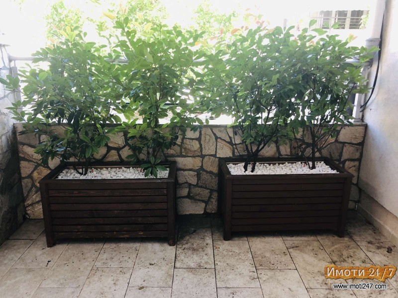Rent Apartment in   Kozle