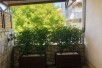 Rent Apartment in   Kozle