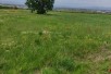Sell Plot in   Ilinden