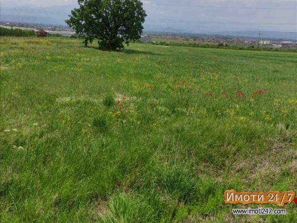 Sell Plot in   Ilinden