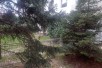 Sell House in   Kozle