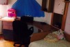 Rent Apartment in   Centar