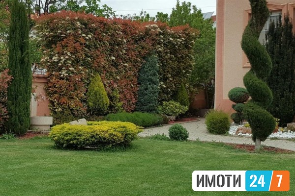 Sell House in   GjPetrov
