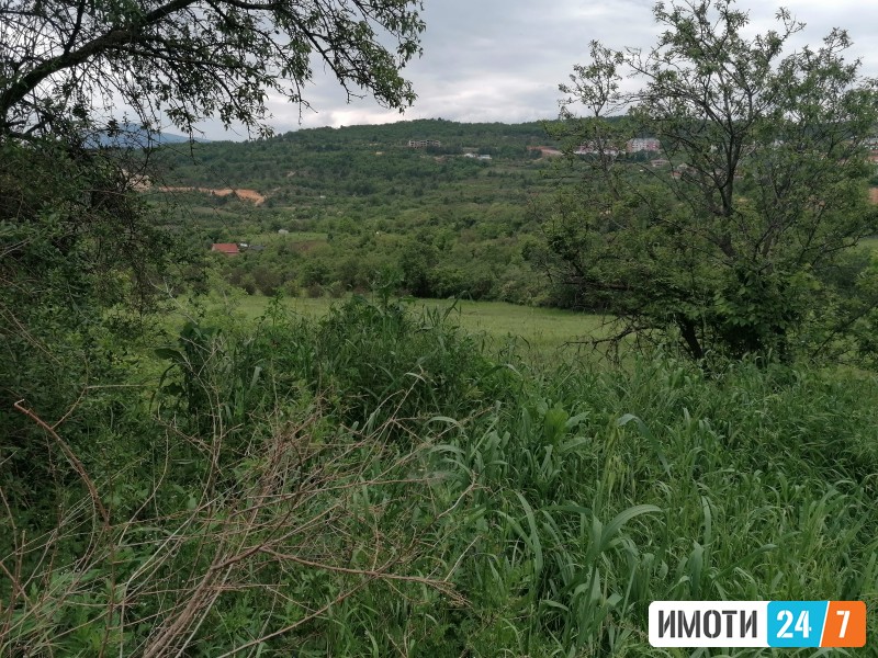 Sell Plot in   Sopishte